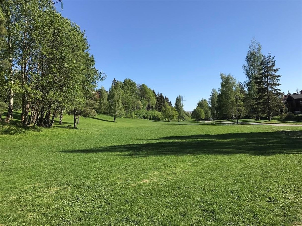 Turterreng rett bak borettslaget. Galleribilde