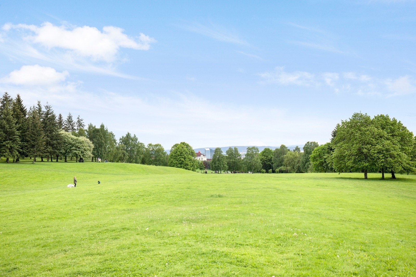 Sameiet grenser til Torshovdalen, hvor man kan grille og nyte parklivet sommerstid, spasere en tur i grønne og barnevennlige omgivelser eller ake i akebakken/stå på skøyter på skøytebanen på vinterstid. Galleribilde
