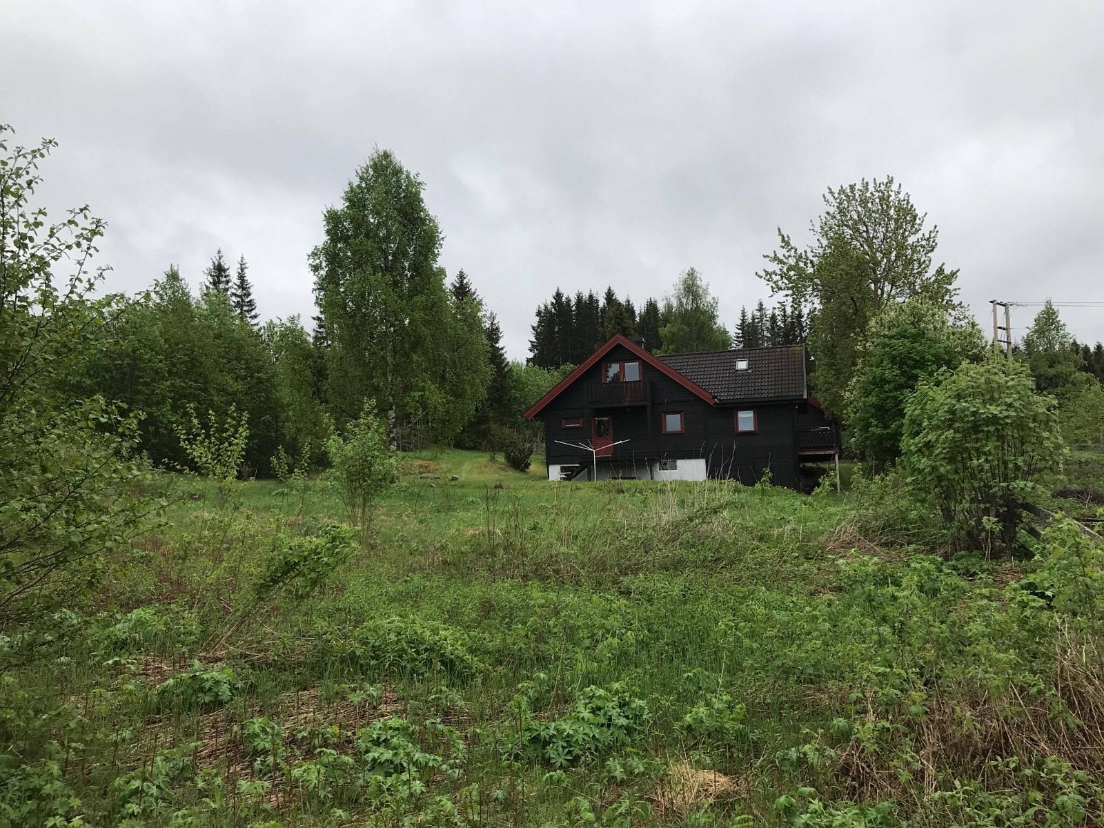 Området nederst på eiendom har aldri vært hage og er brukt som alt fra crossbane til ponni beite på sommer, nå er det gjengrodd men mulighetene er mange. Kjøkkenhage etc. Vanskelig å gi inntrykk av plassen å bildet men er ett stort område . Galleribilde