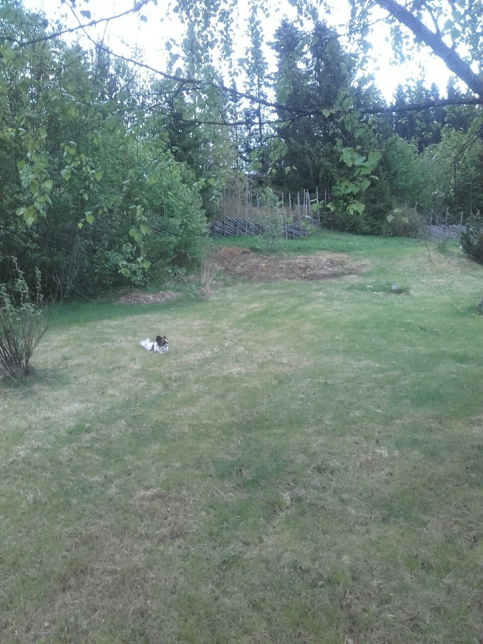 Deler av eiendom Galleribilde