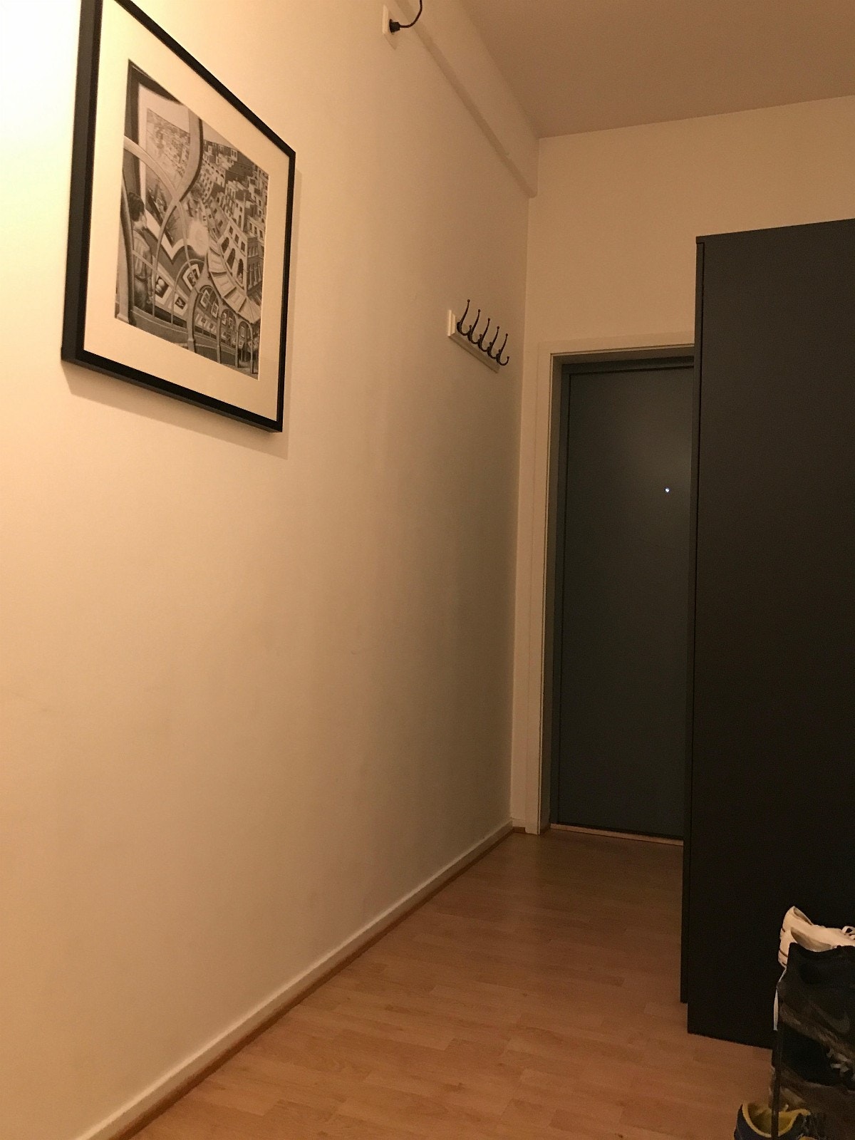 Inngang og stort skap. Dette er felles inngang til både utleiedel og min del av leiligheten Galleribilde