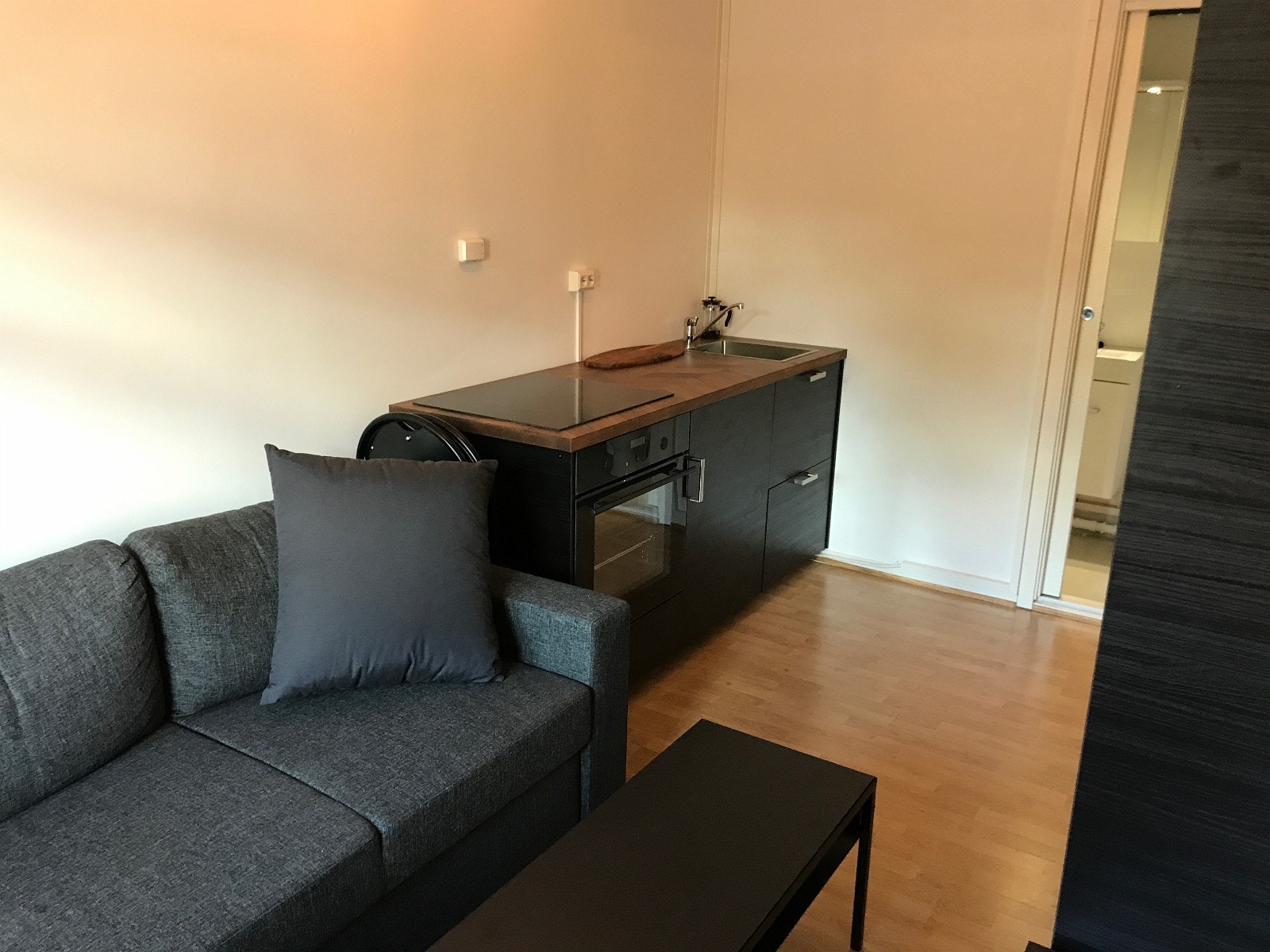 Moderne kjøkken med nedfelt induksjonsovn, alt nytt i 2017 Galleribilde