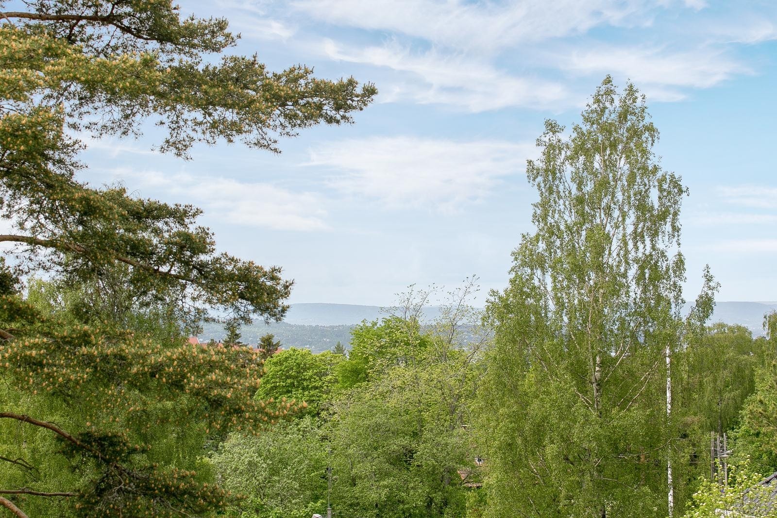 Utsikt fra balkongen Galleribilde