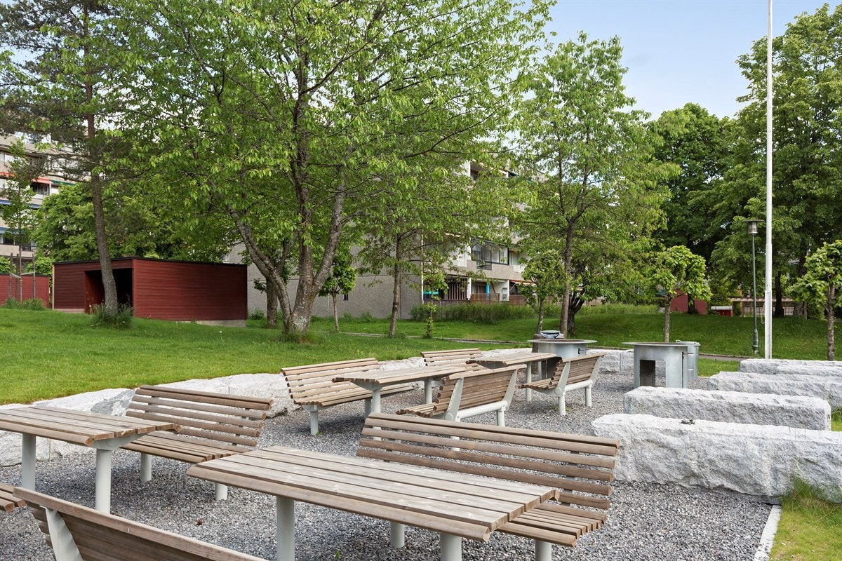 Omradebilde Galleribilde