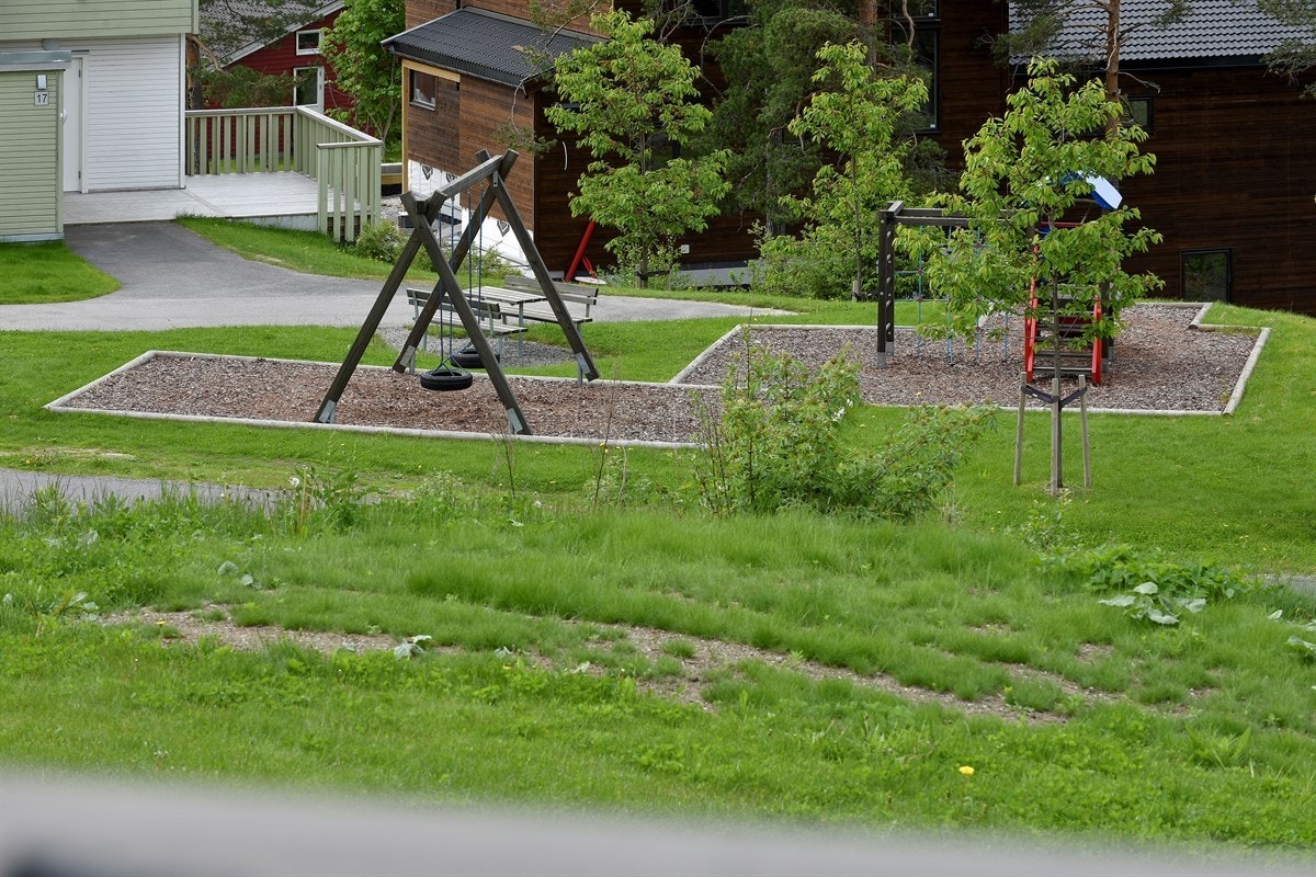 Fellestomt. Galleribilde