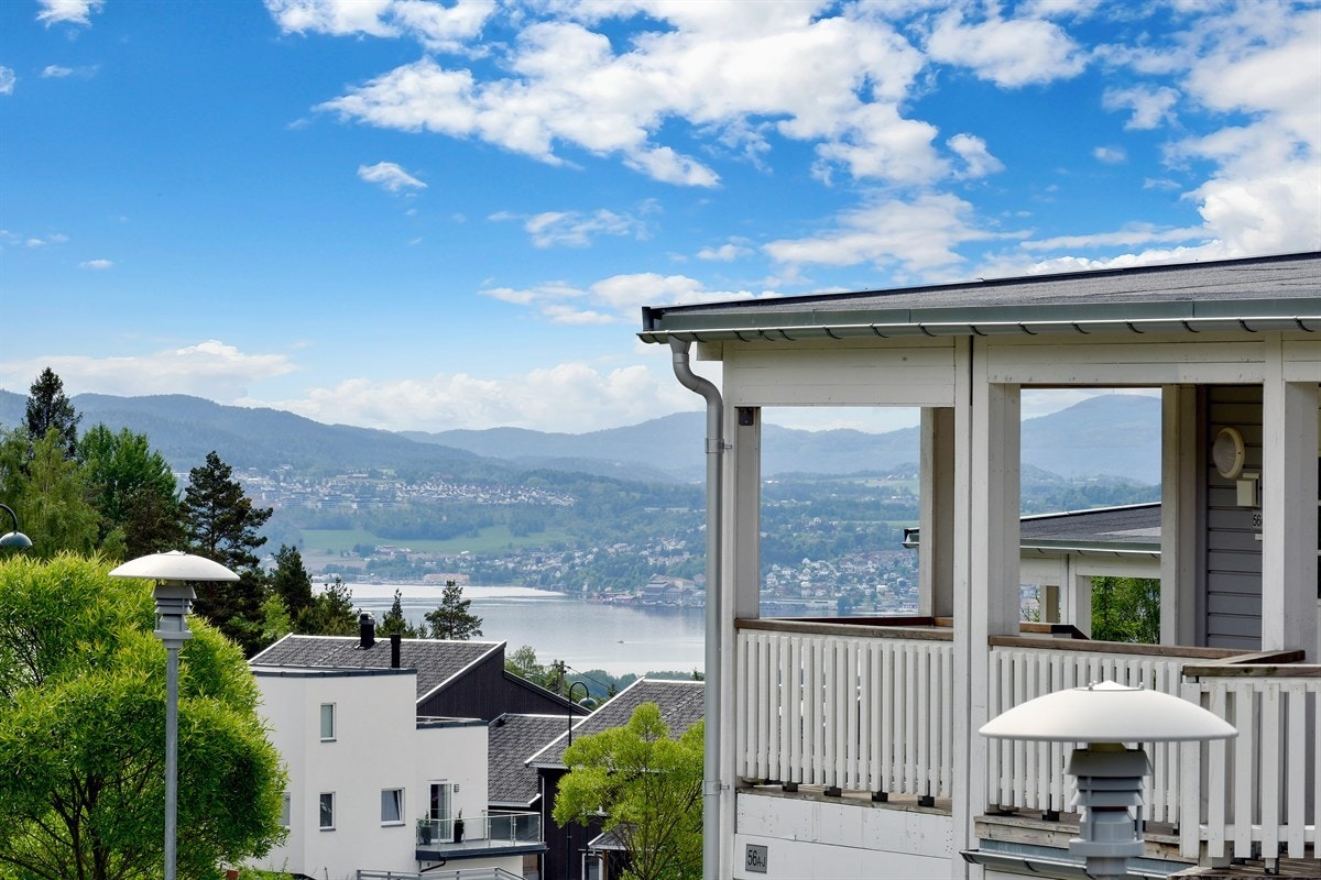 Fantastisk utsikt. Galleribilde