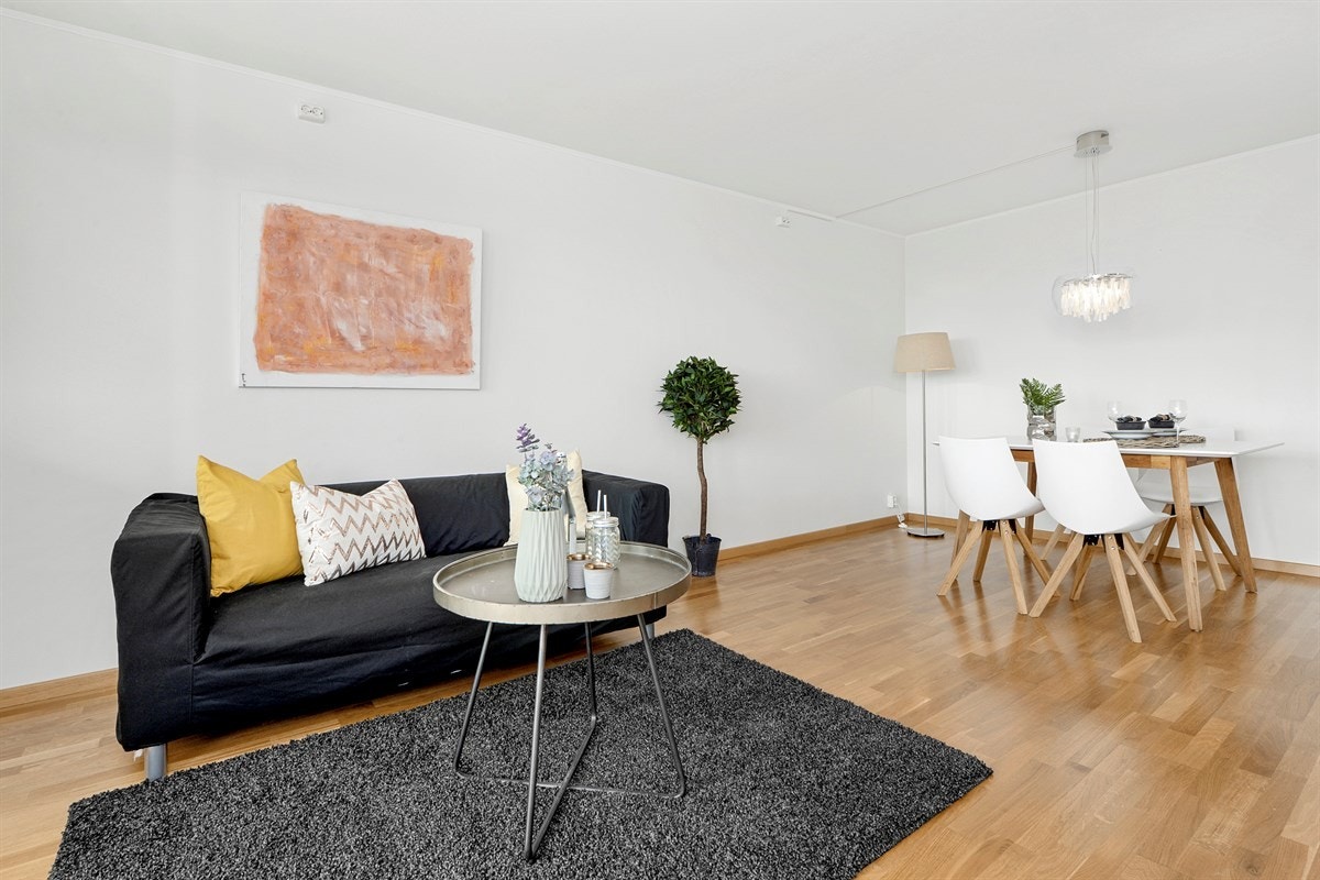 Det er god plass for tv- og sofaløsning. Galleribilde