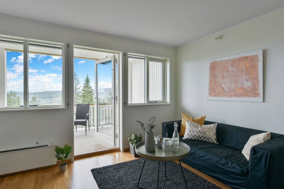 Det er utgang til stor, overbygd terrasse med vidstrakt utsikt over innseilingen i Drammensfjorden, Drammen og Reistadjordene. Galleribilde