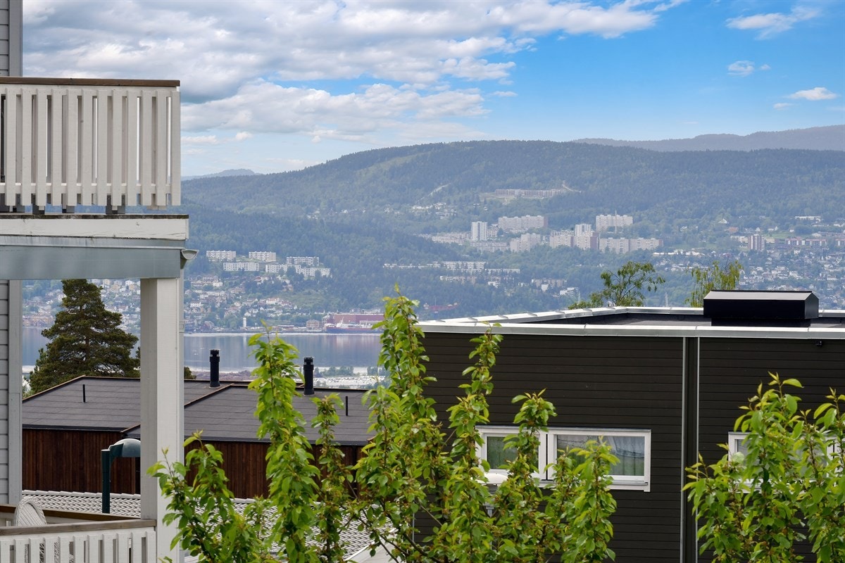 Fantastisk utsikt. Galleribilde