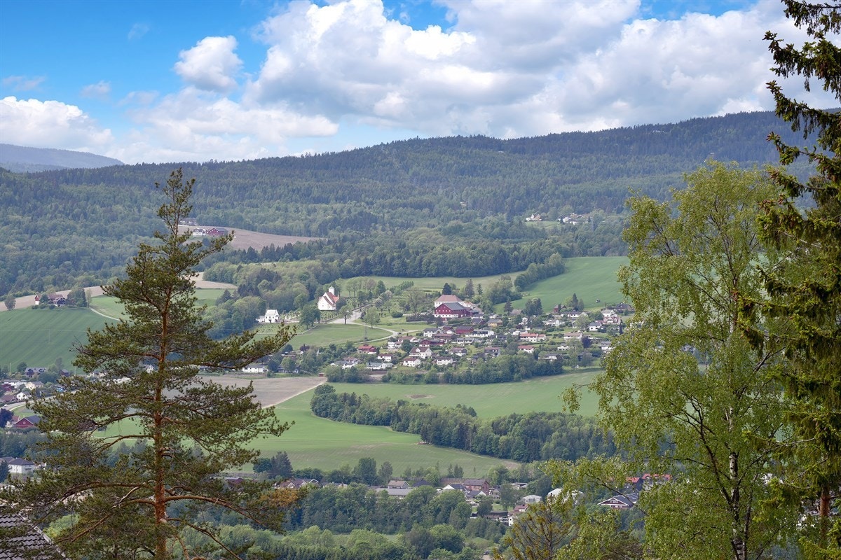 Fantastisk utsikt. Galleribilde