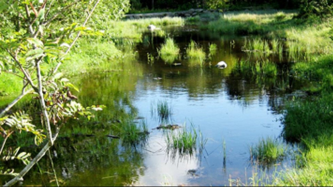 Sørmarka friluftsområde til trening og rekreasjon - turløyper Galleribilde