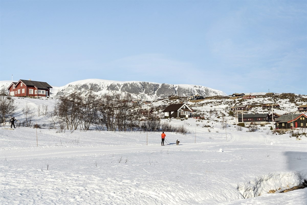 Utallige flotte turområder like utenfor hotellet. Galleribilde