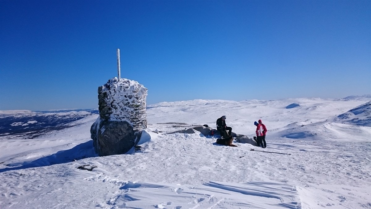 DSC_0292 Galleribilde