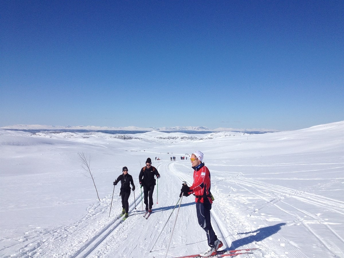 9. august 687 Galleribilde