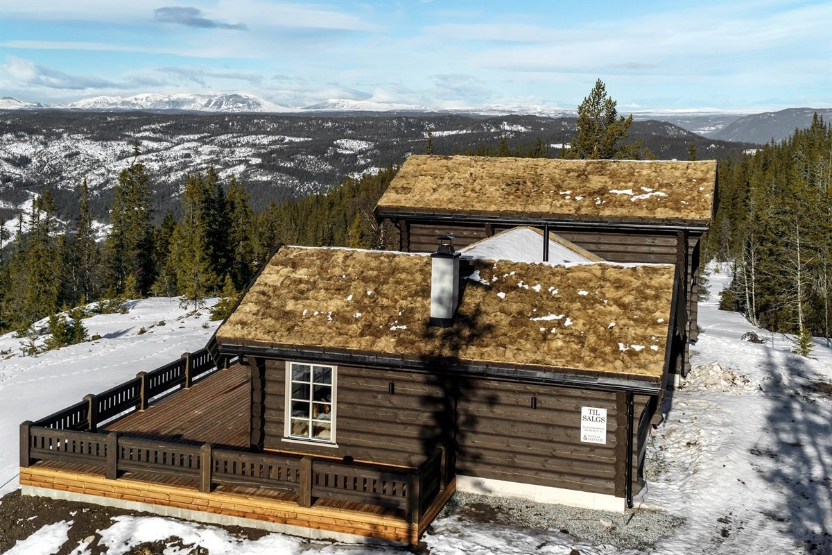 Hyttas sørside Galleribilde