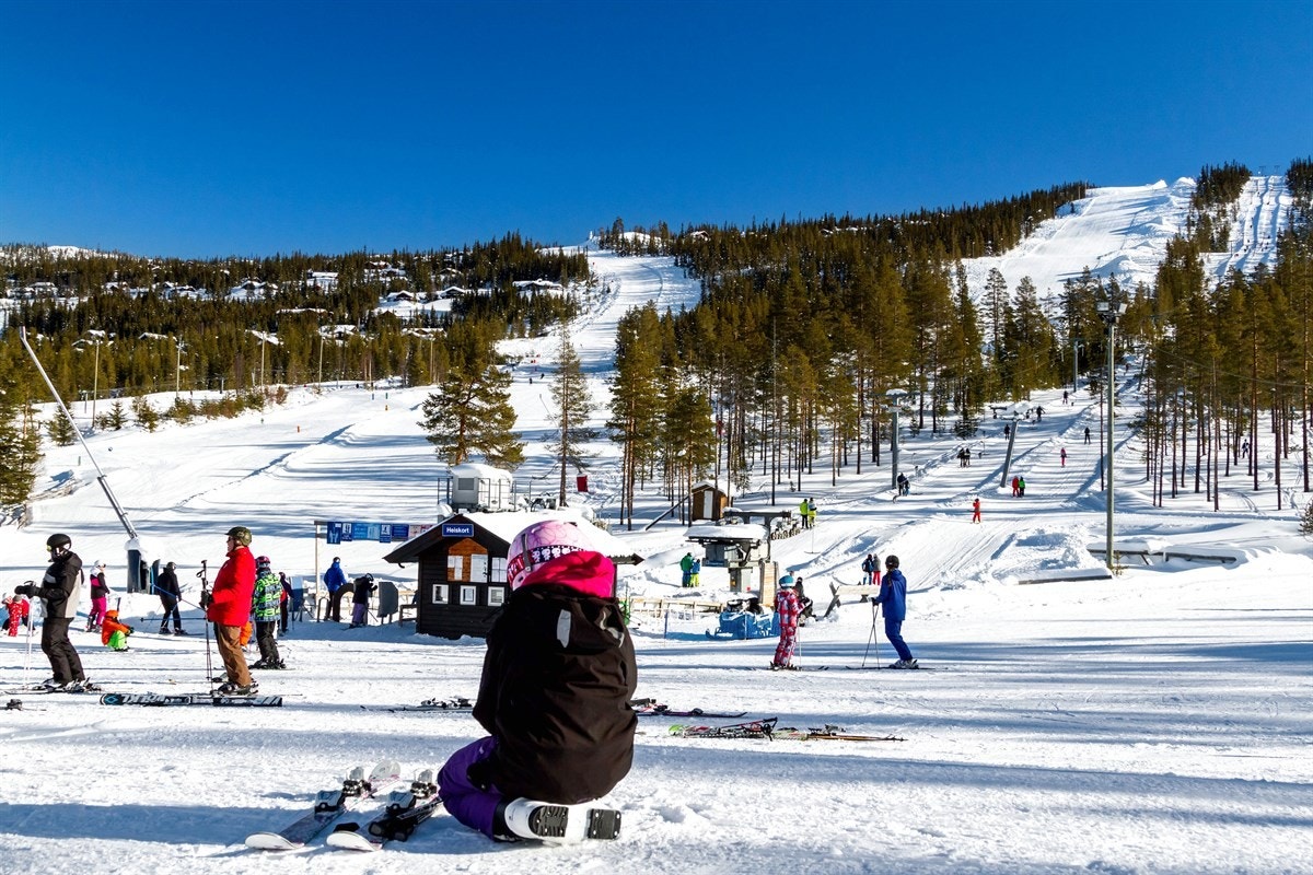 nesalp-feb2014-3_4500 Galleribilde