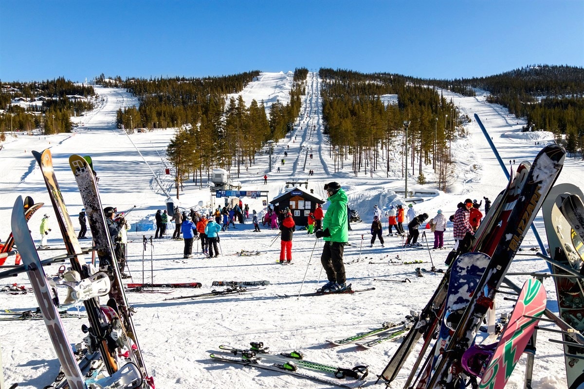 nesalp-feb2014-5_4500 Galleribilde