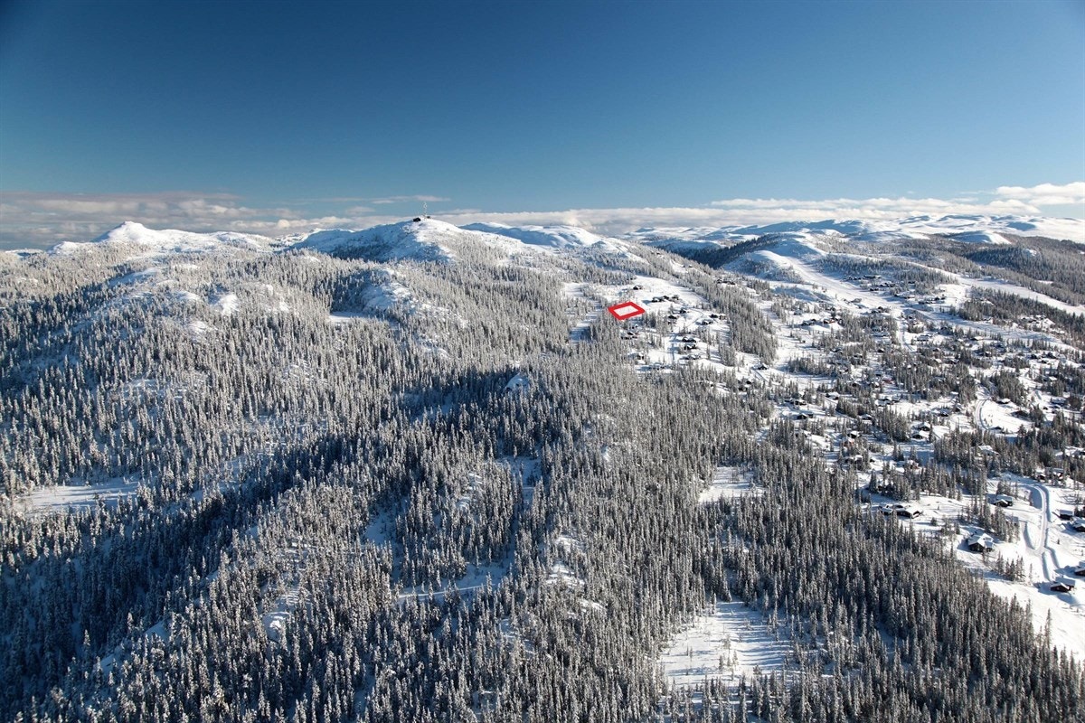 Flyfoto med eiendommen inntegnet Galleribilde