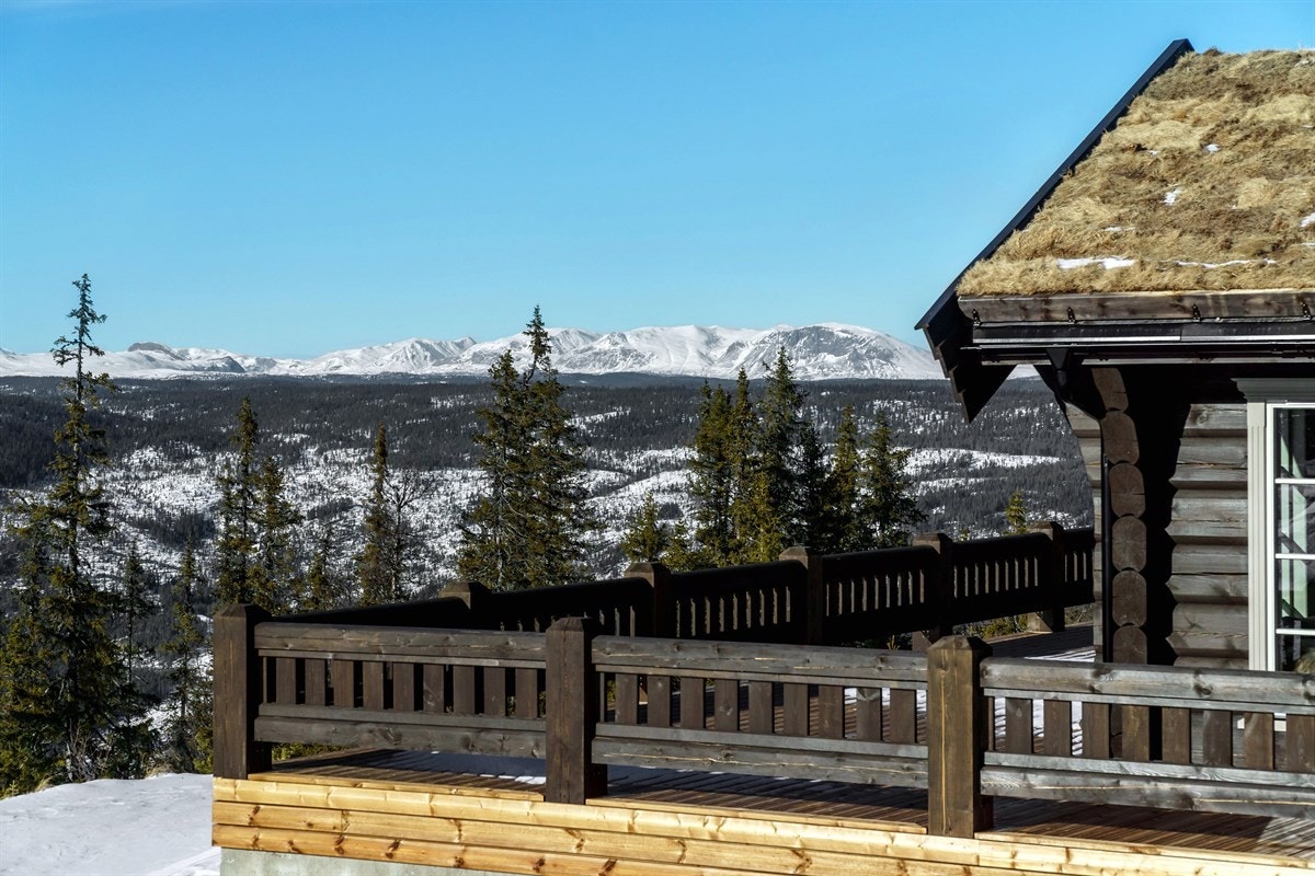 Utsikt mot Skogshorn i Hemsedal Galleribilde