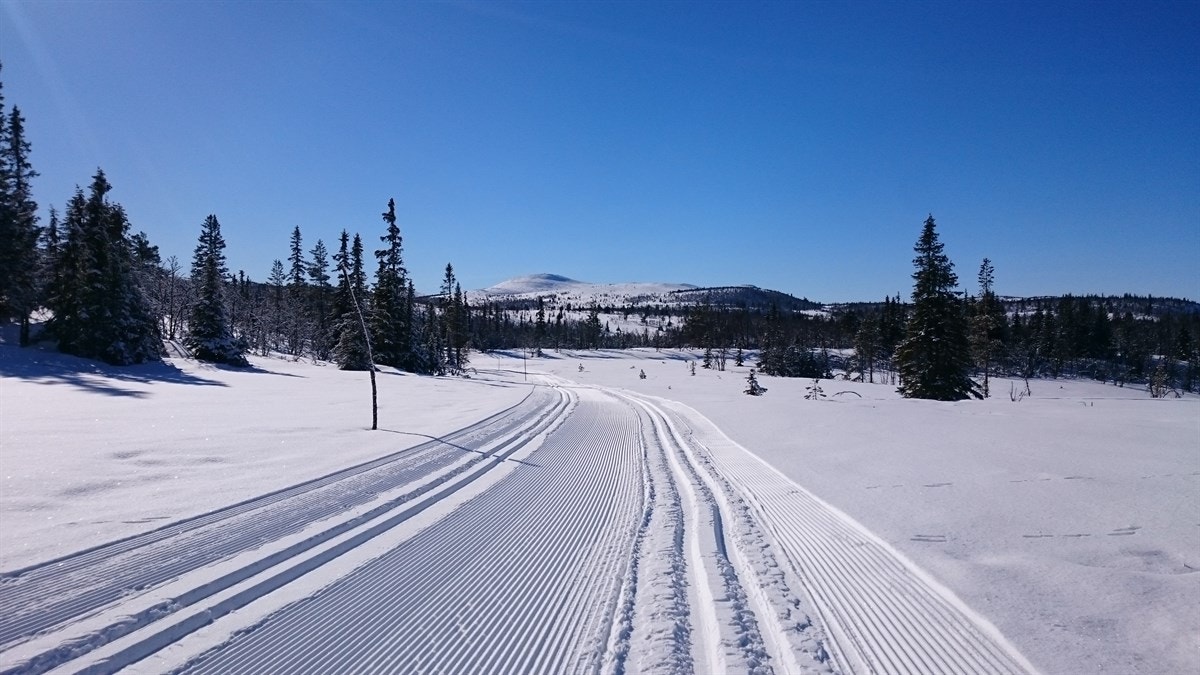 DSC_0264 Galleribilde