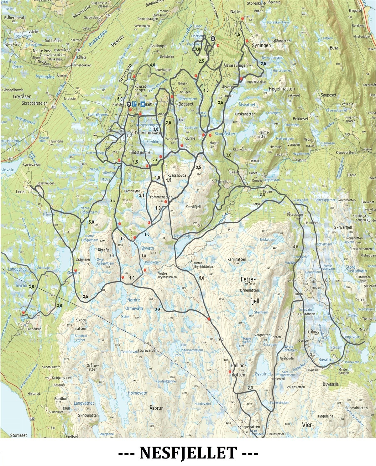 HeleLøypenettet_NFL (3) Galleribilde