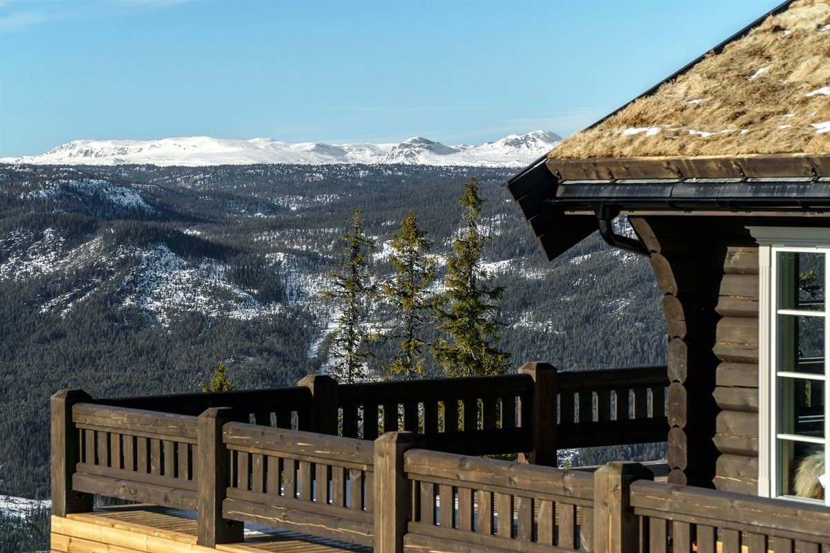 Utsikt mot Ålingsfjella og bl.a. Reineskarvet Galleribilde