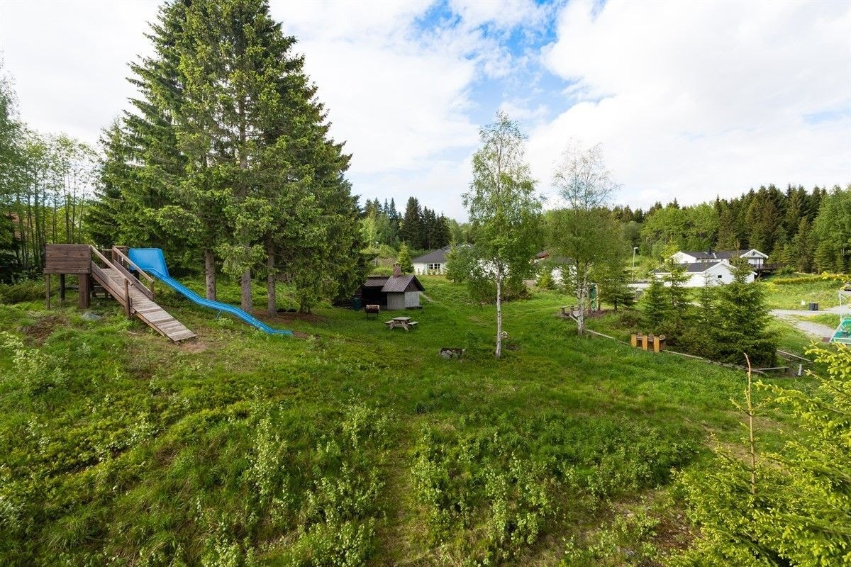 Nærområdet. Galleribilde