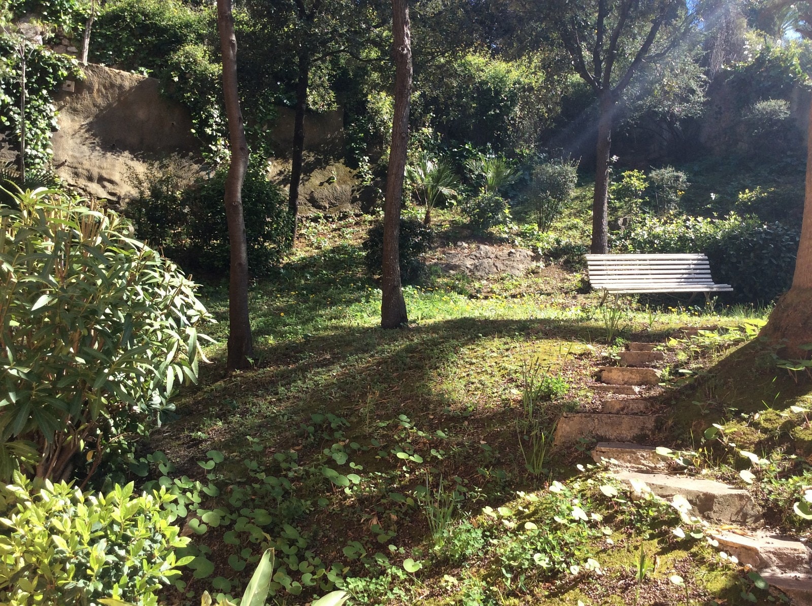 Uteområdet Galleribilde