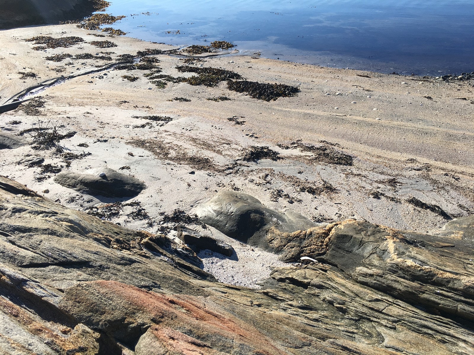 Liten strand foran huset Galleribilde