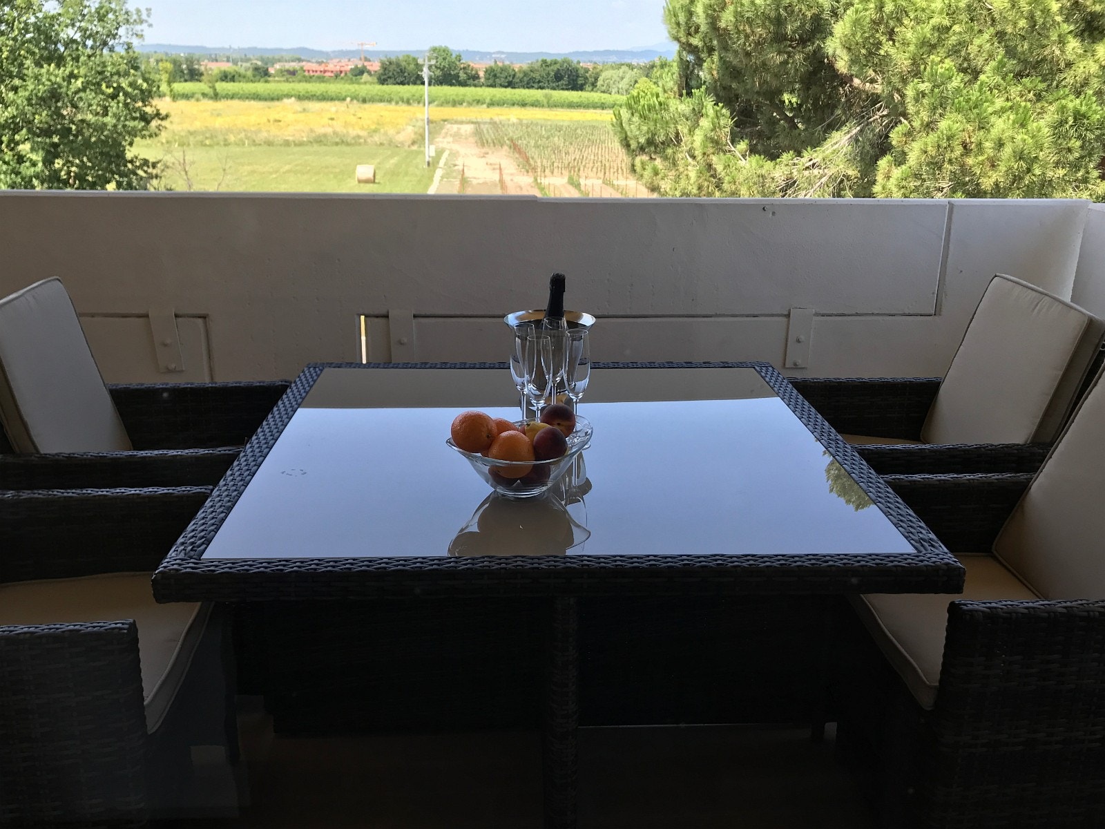 Ute område med utsikt over vin rankene Galleribilde