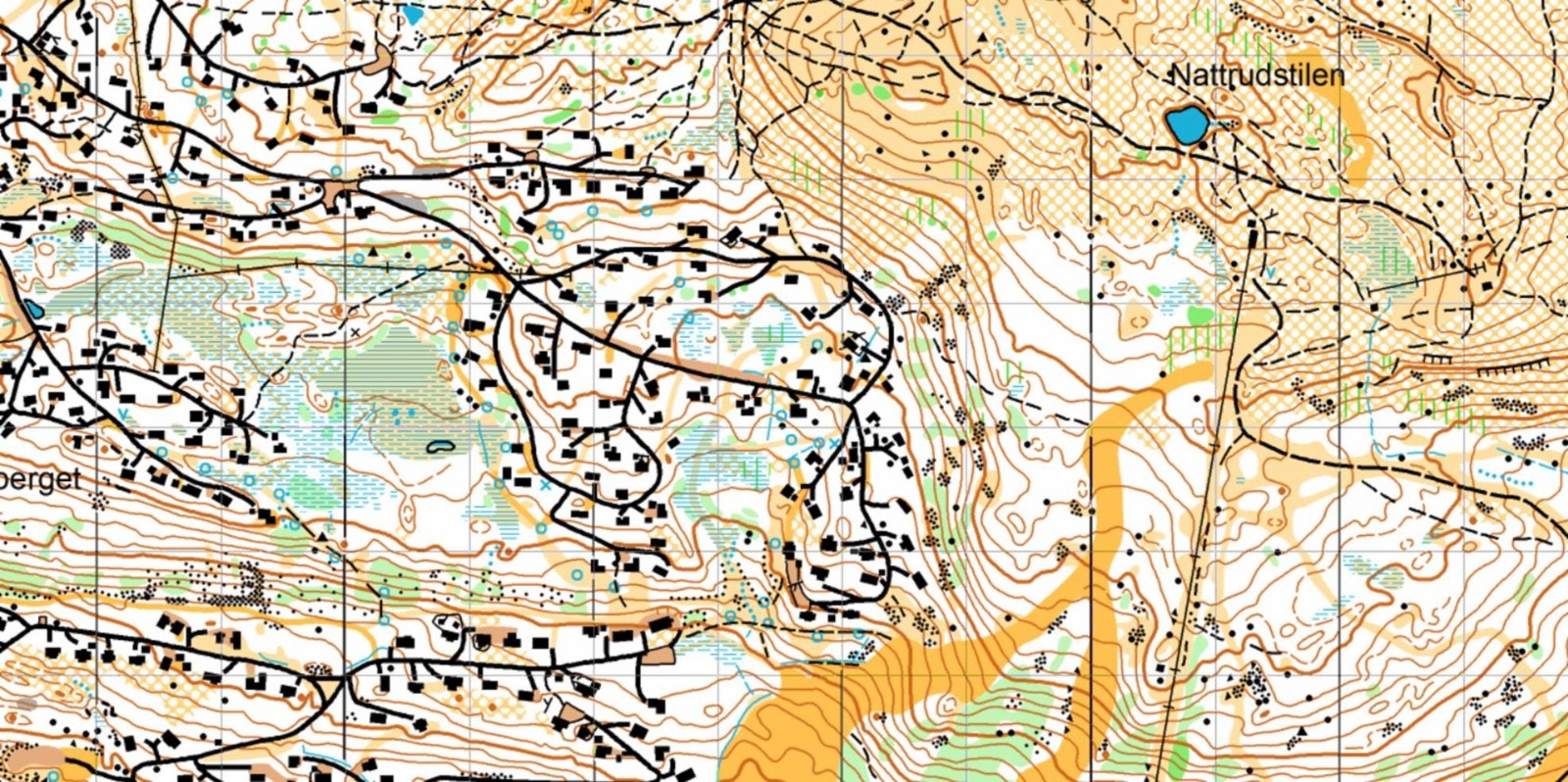 Orienteringskart over området. Hytta ligger oppe under venstre hjørnet. Flott turterreng! Galleribilde