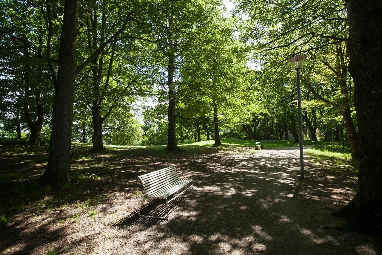 Nærområdet Galleribilde