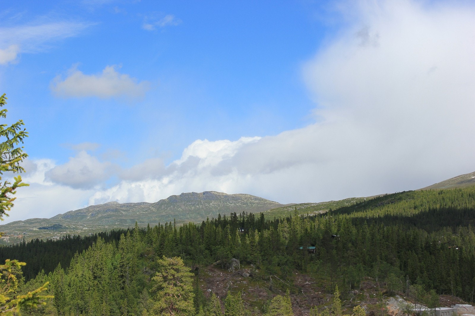 Fra tomt 17 Djupsjøhaugen Galleribilde