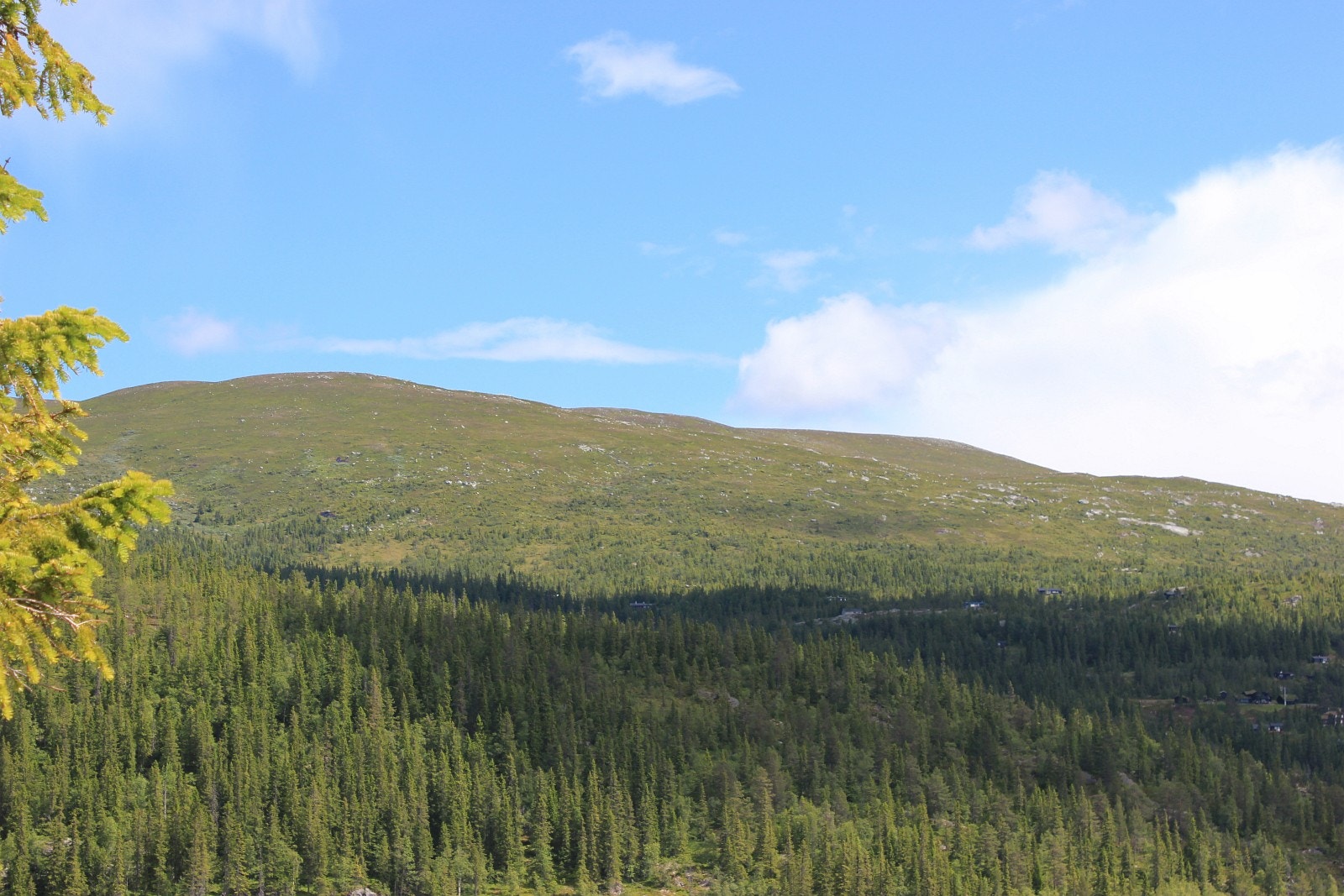 Fra tomt 17 Djupsjøhaugen Galleribilde