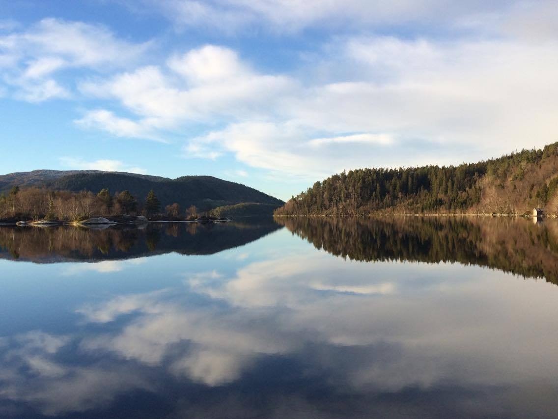 Øyangsvatnet Galleribilde