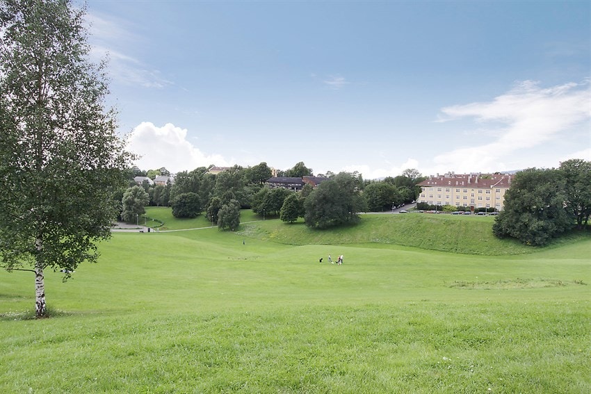 Flere rekreasjonsområder som Torshovdalen Torshovparken Sofienbergparken og Botanisk Hage ligger kun en liten gåtur unna. Galleribilde