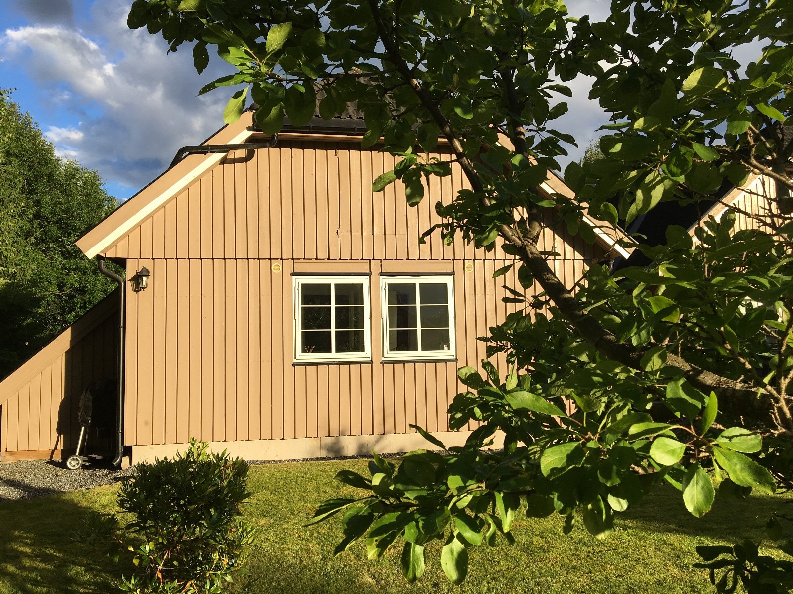 Hage utenfor. Galleribilde