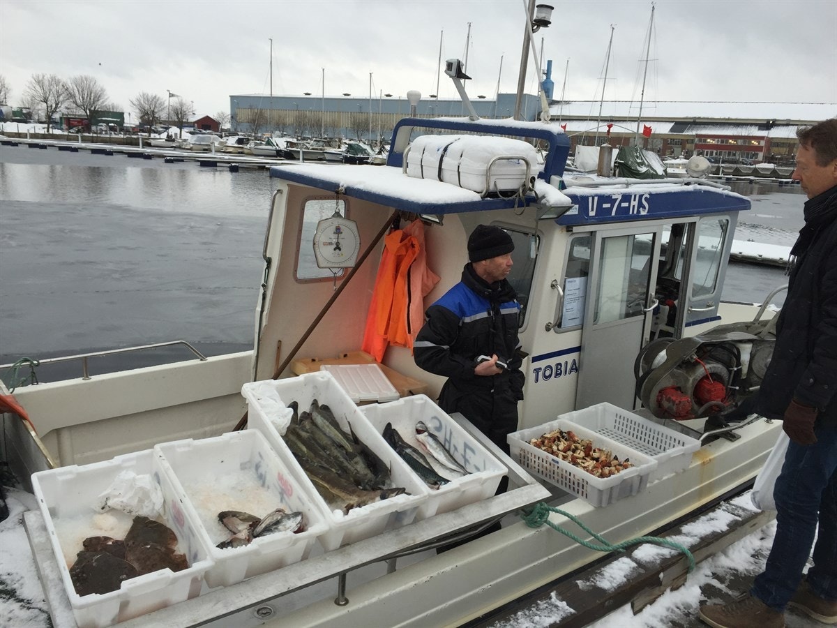 Fersk fisk fra fiskebåten i sentrum. Galleribilde