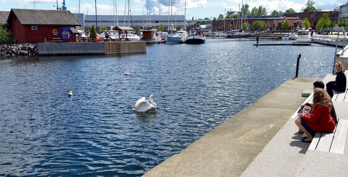 Holmestrands båthavn. Galleribilde