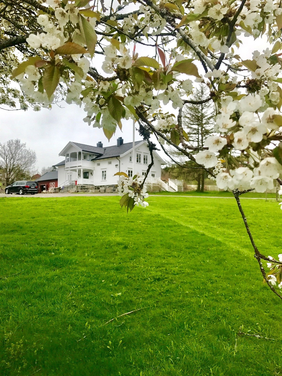 Idyllisk beliggenhet. Galleribilde