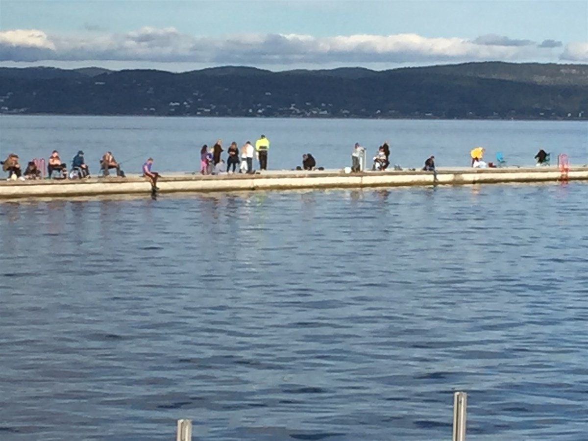 Populært fiske på moloen i sentrum. Galleribilde