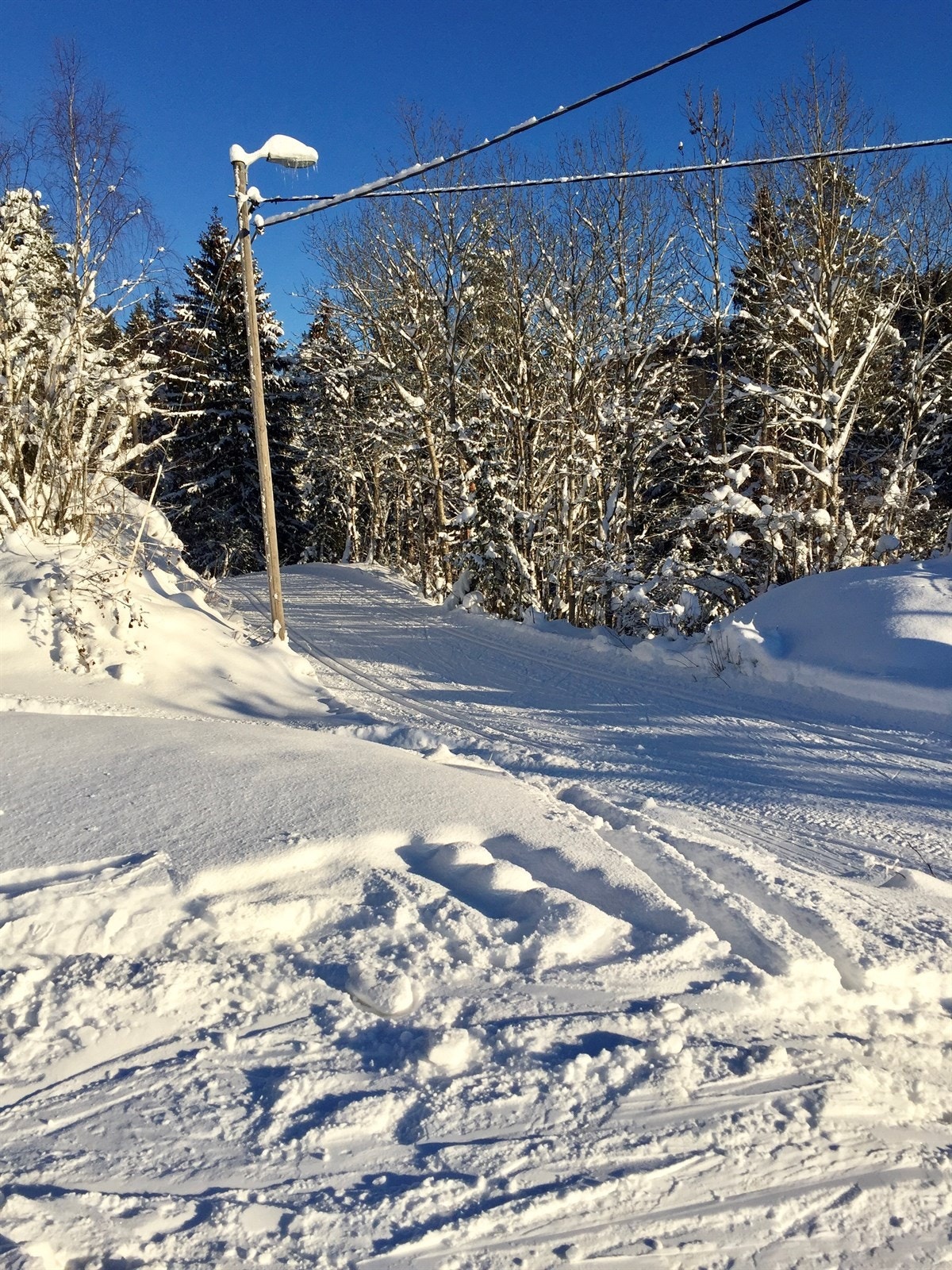 I enden av lysløypa møter man alpinbakken. Galleribilde