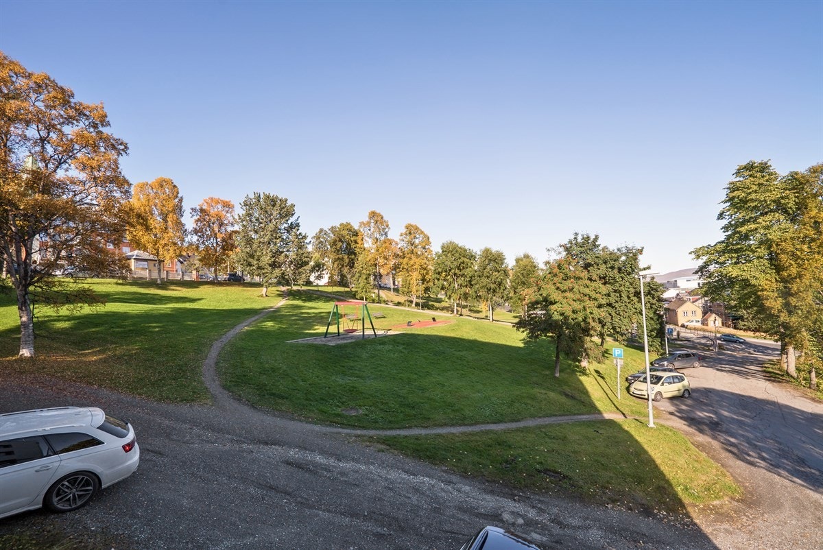Fra leiligheten er det flott utsikt mot parkområdet ved Kongsbakken Galleribilde