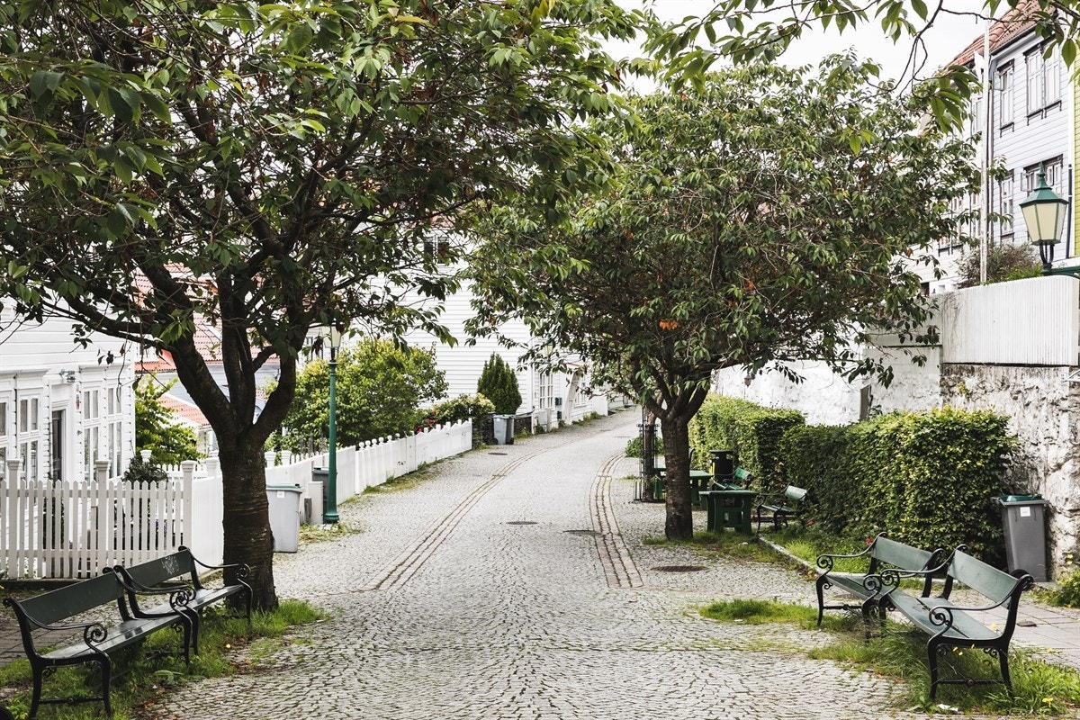 Når de japanske kirsebærtrærne blomstrer om våren, blir det en nydelig atmosfære i nabolaget. Galleribilde