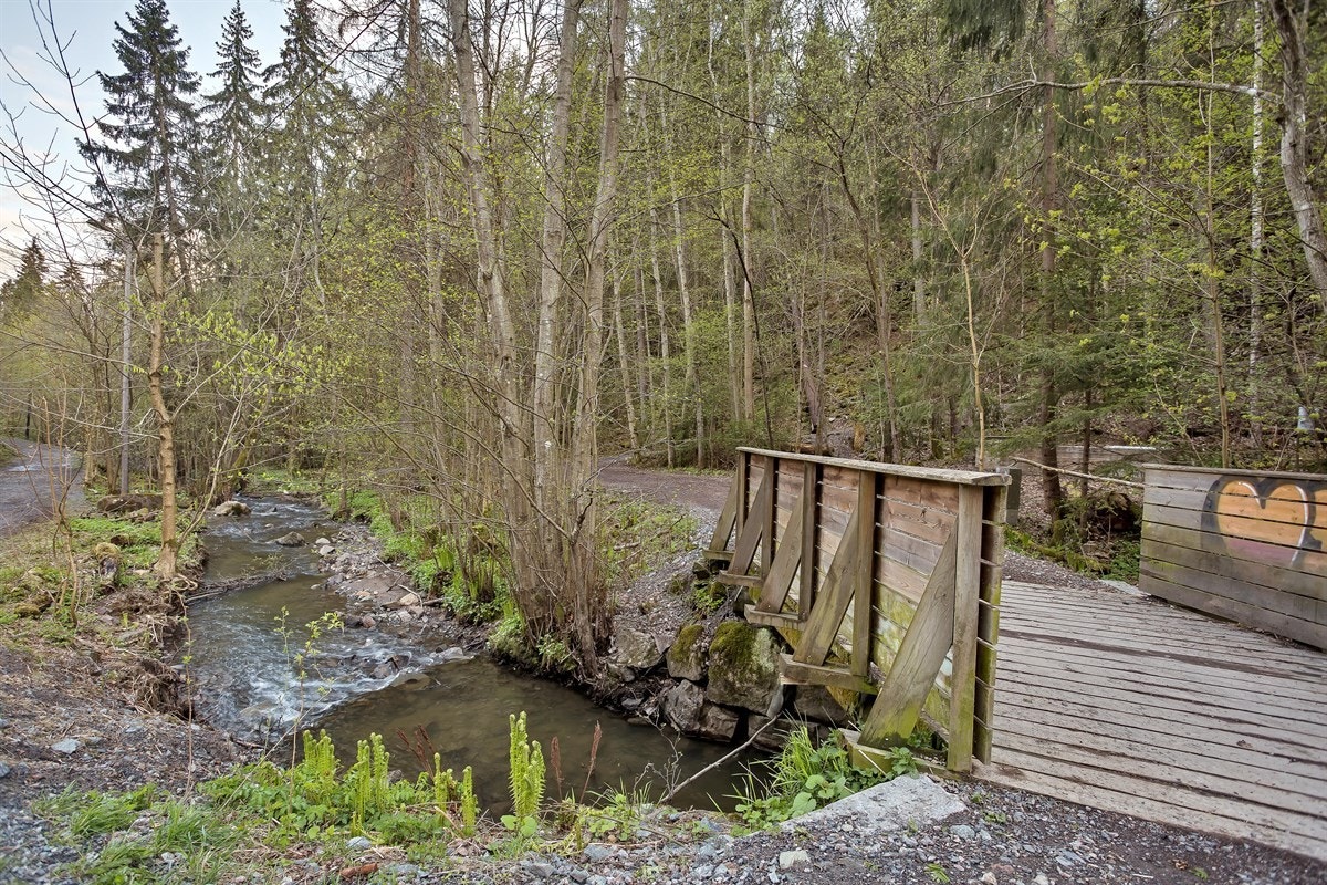 Flotte turmuligheter i umiddelbar nærhet Galleribilde