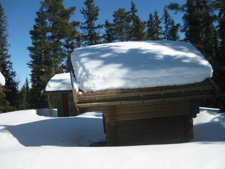 IMG_0594.JPG Galleribilde