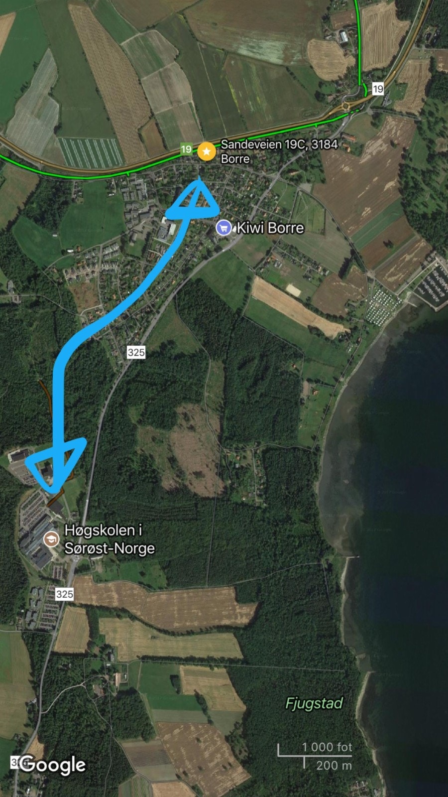 Kjekk gang- og sykkelsti gjennom "skogen" Galleribilde