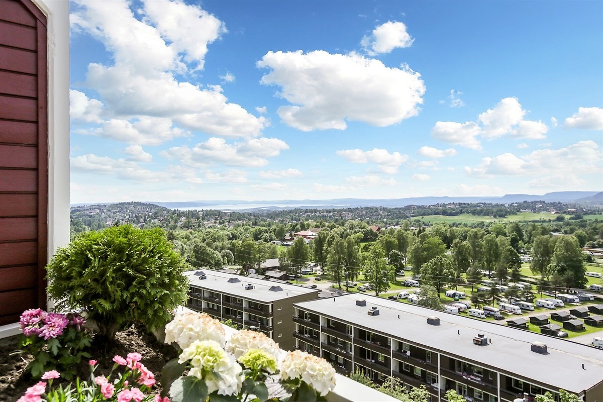 Utsikten mot Oslofjorden Galleribilde