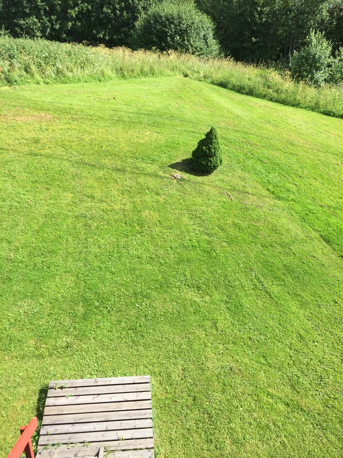 Plenområdet utenfor leiligheten Galleribilde