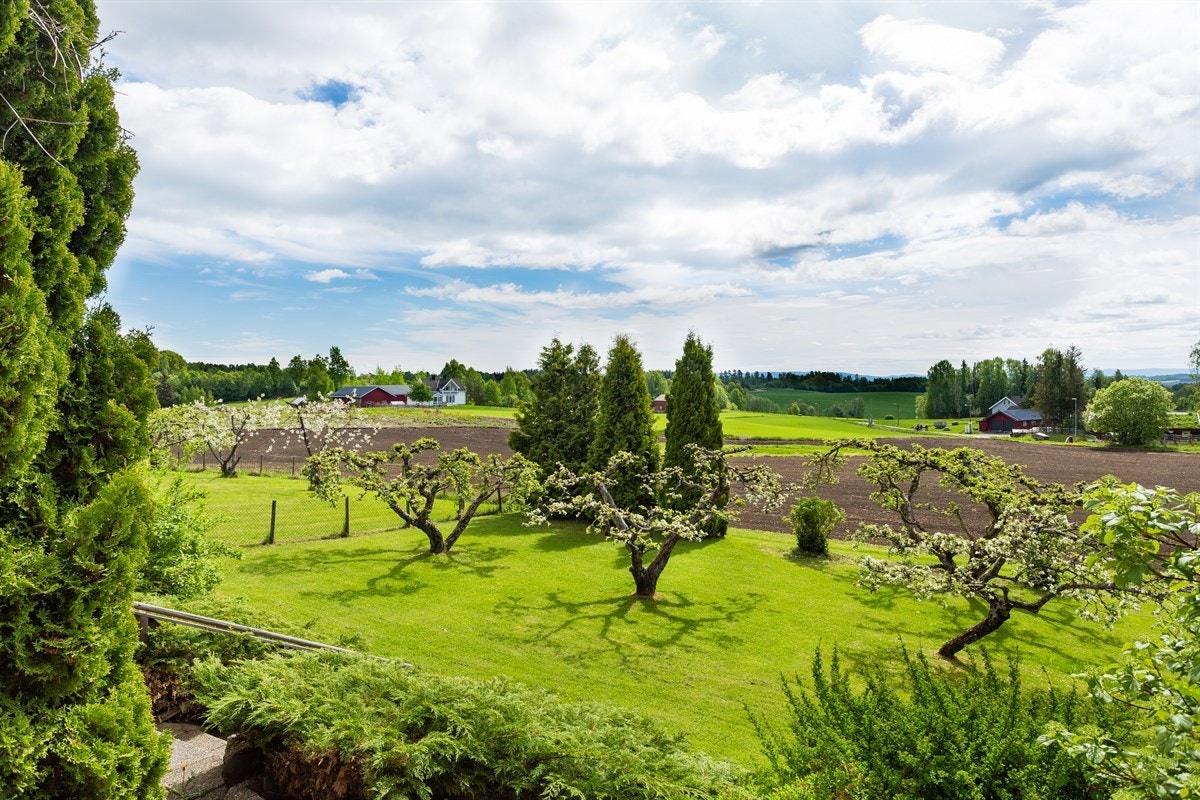 Nydelig utsyn! Galleribilde